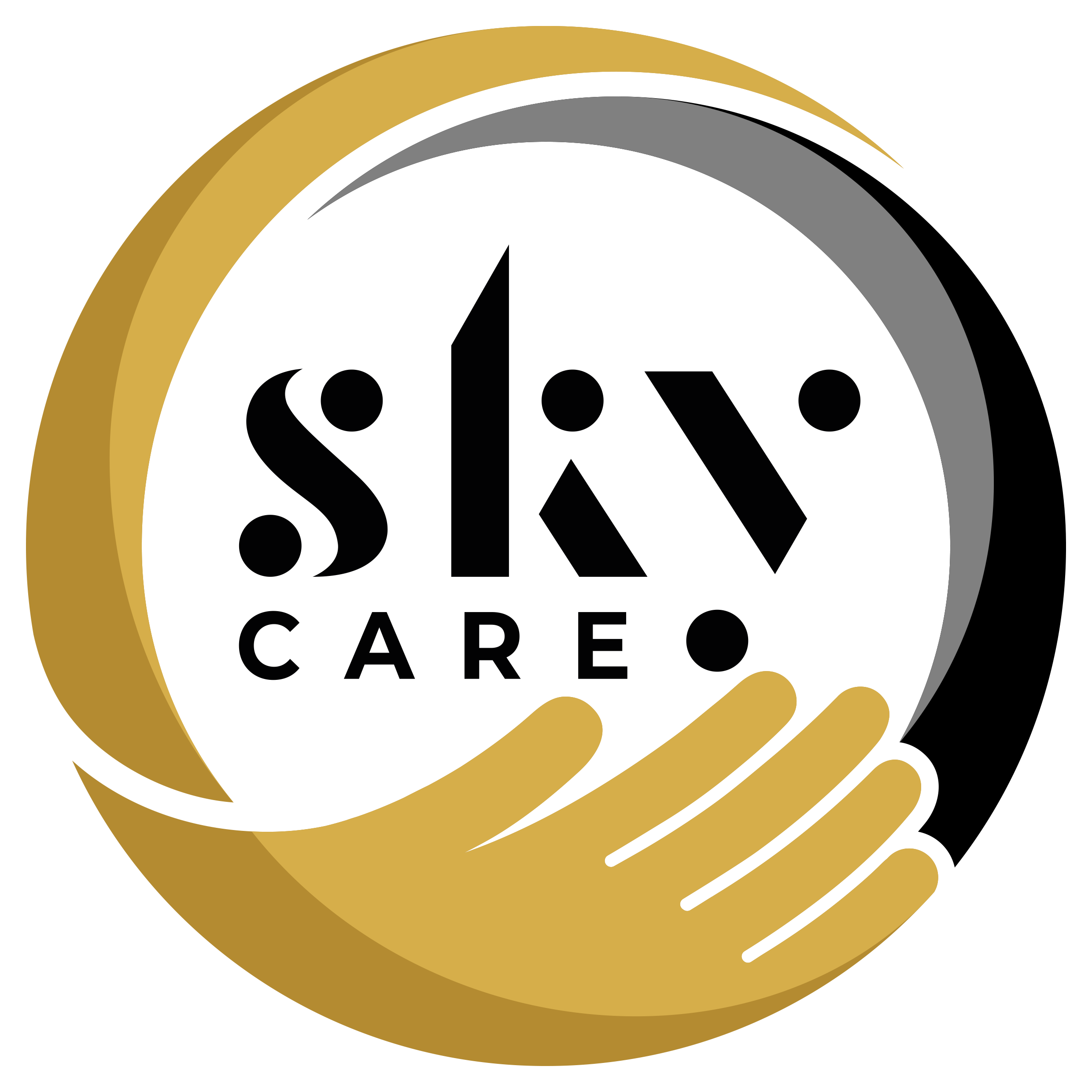 SkyCare Logo